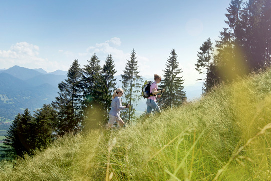 Wandern im Heilklima