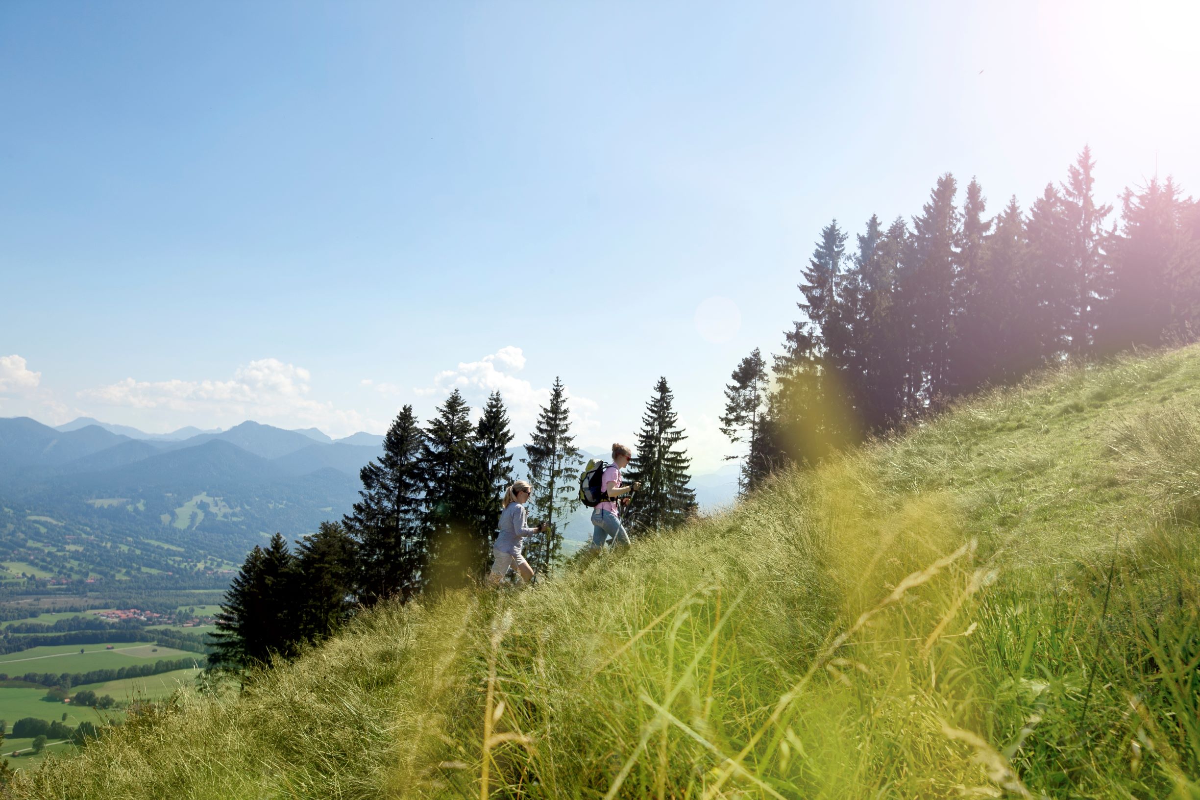 Ausblick vom Blomberg