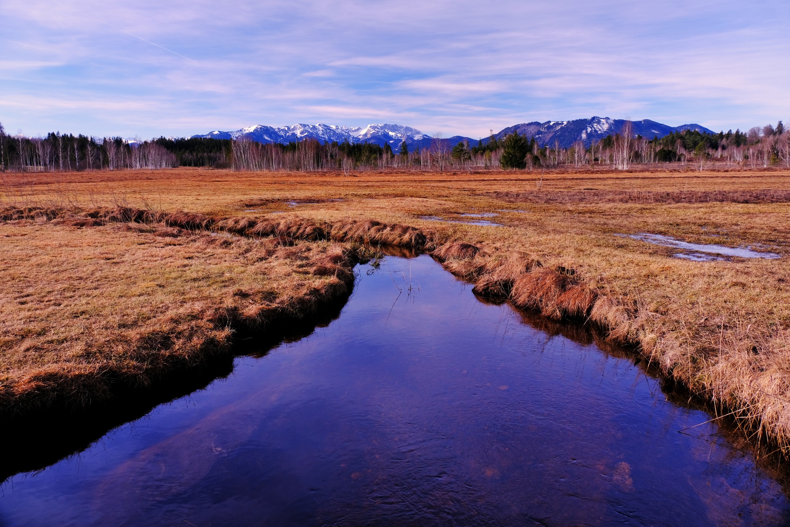 Moorlandschaft