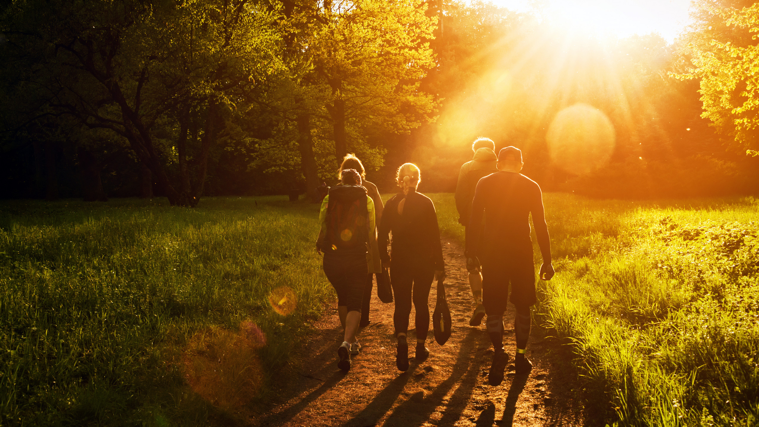 Heilklimawandern