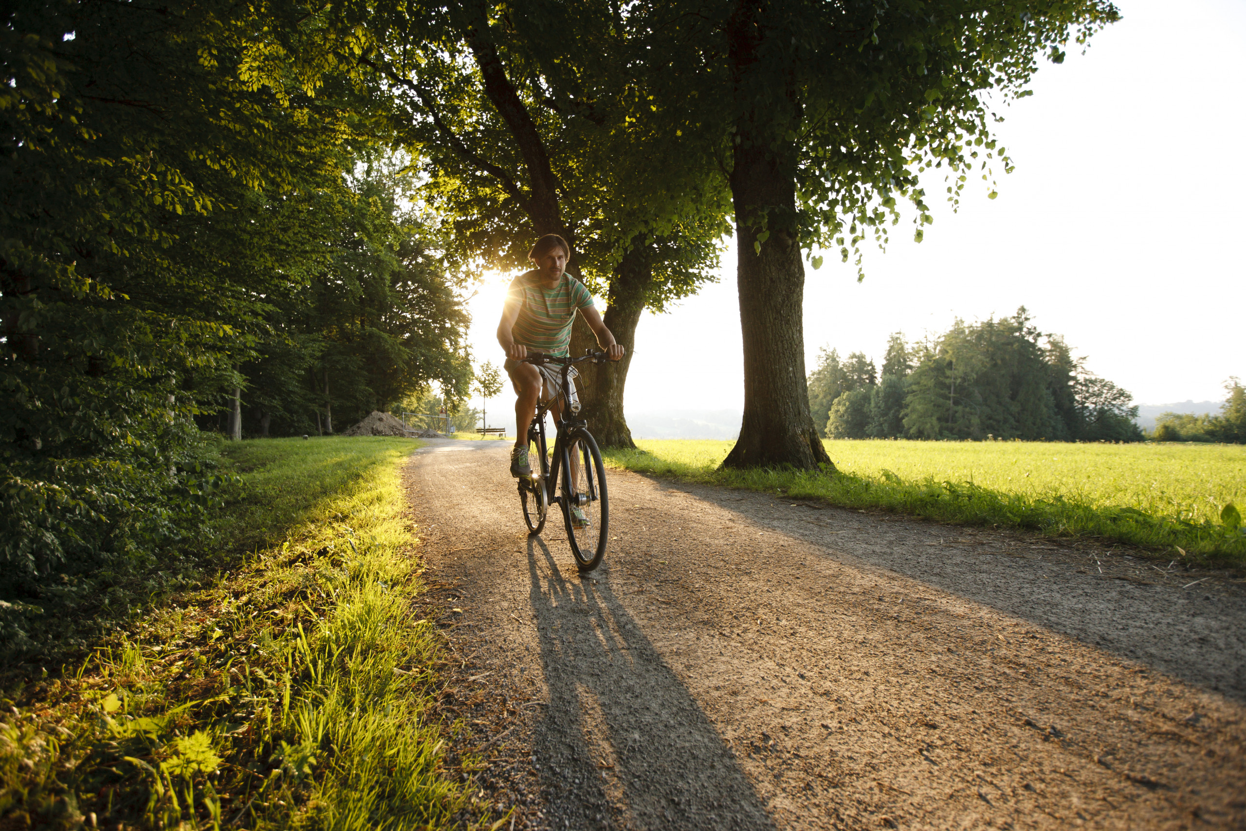 Fahrradfahren, Natur, Outdoor