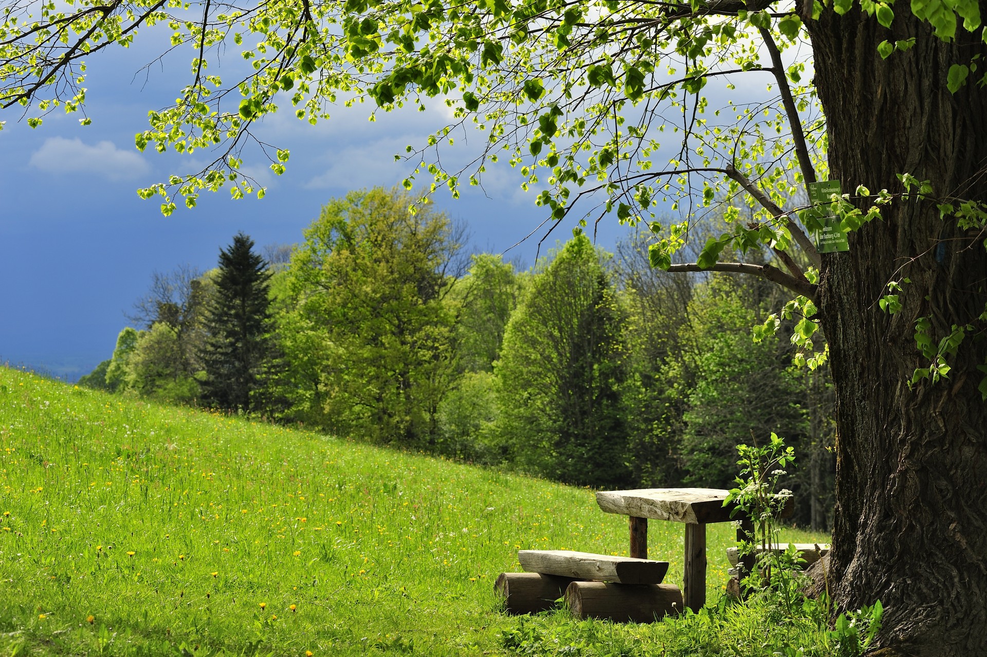 Pauschale Heilklimawandern