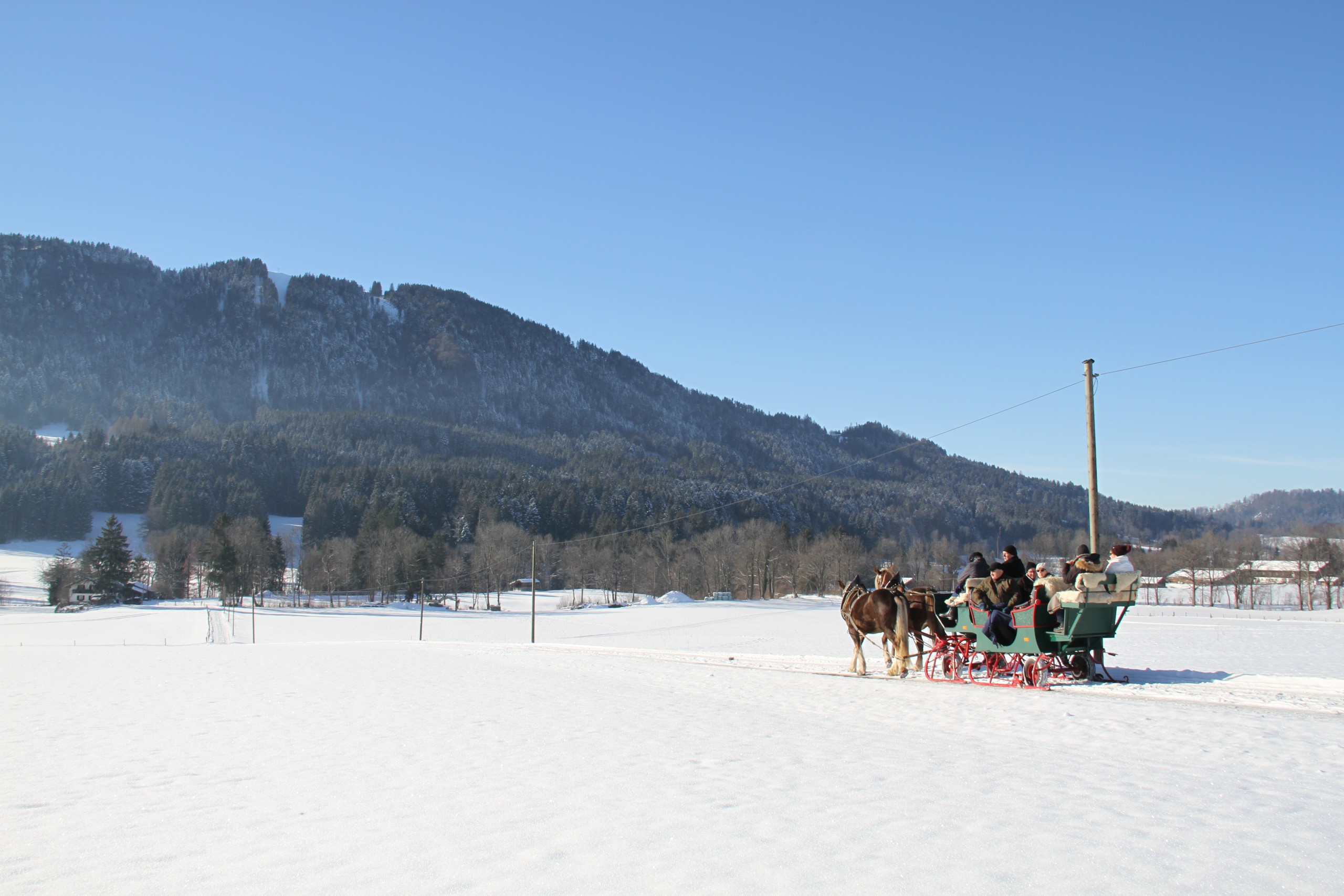 Pferdeschlittenfahrt Pferdeschlittenfahrt in Bad Tölz