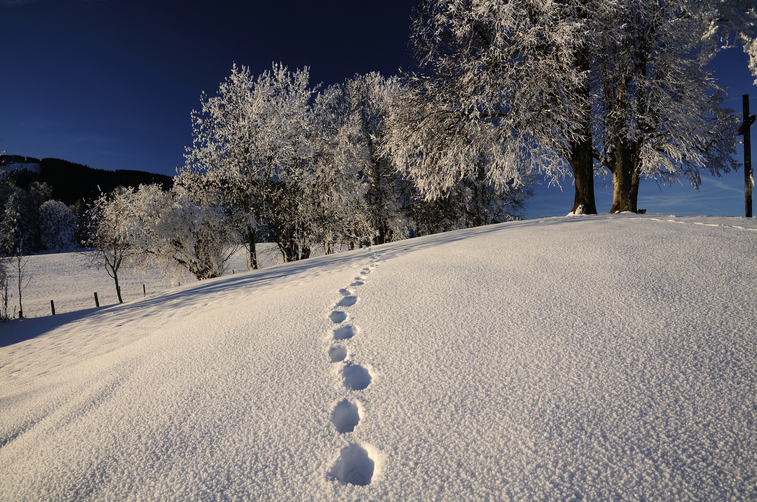 Schneelandschaft Aktitivitäten im Winter