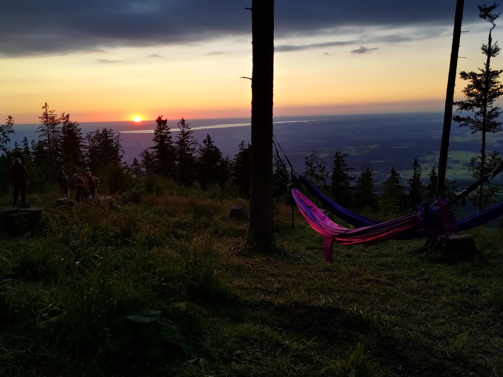 Hängemattenwald