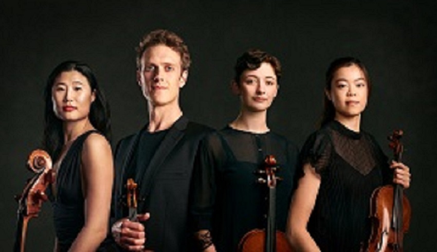 Geige, Instrument, Musik Geige, Instrument, Musik
