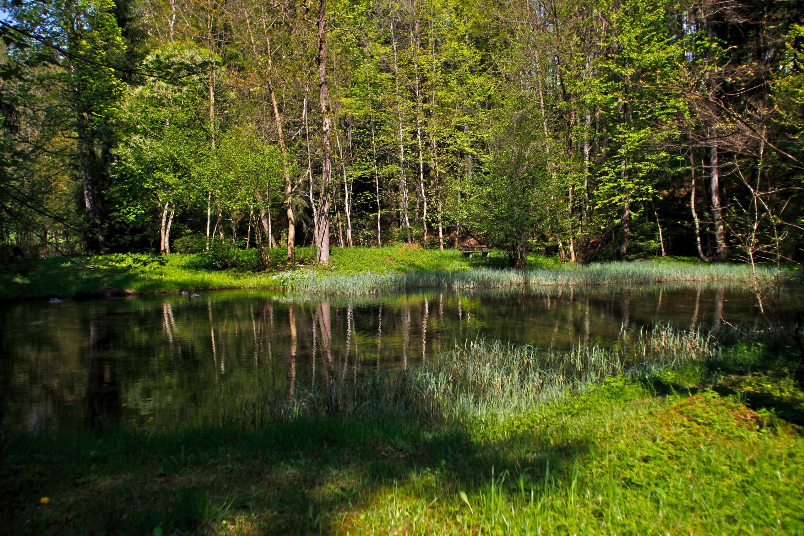 Natur Naturcoach
