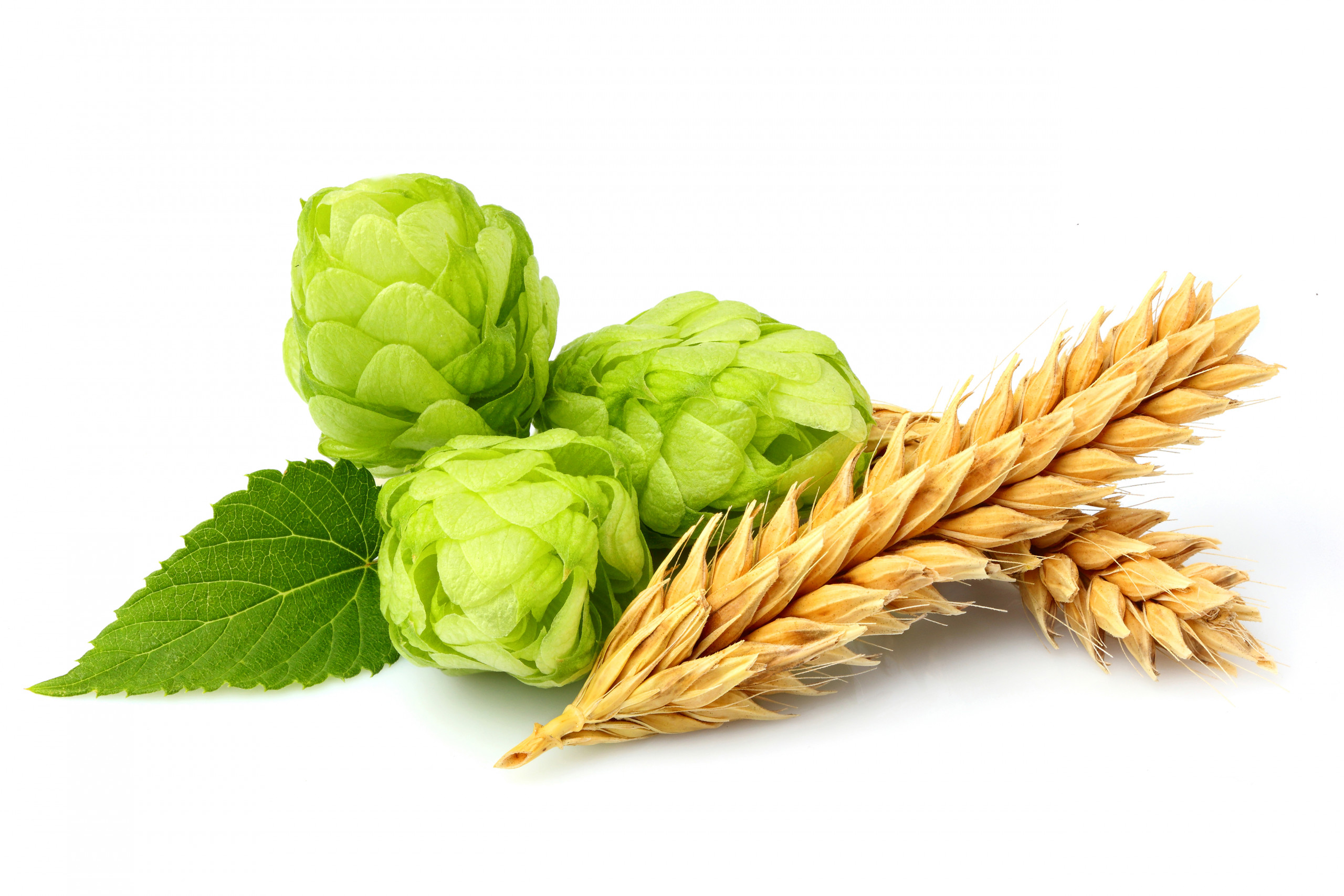 Tölzer Veg Tölzer Veg