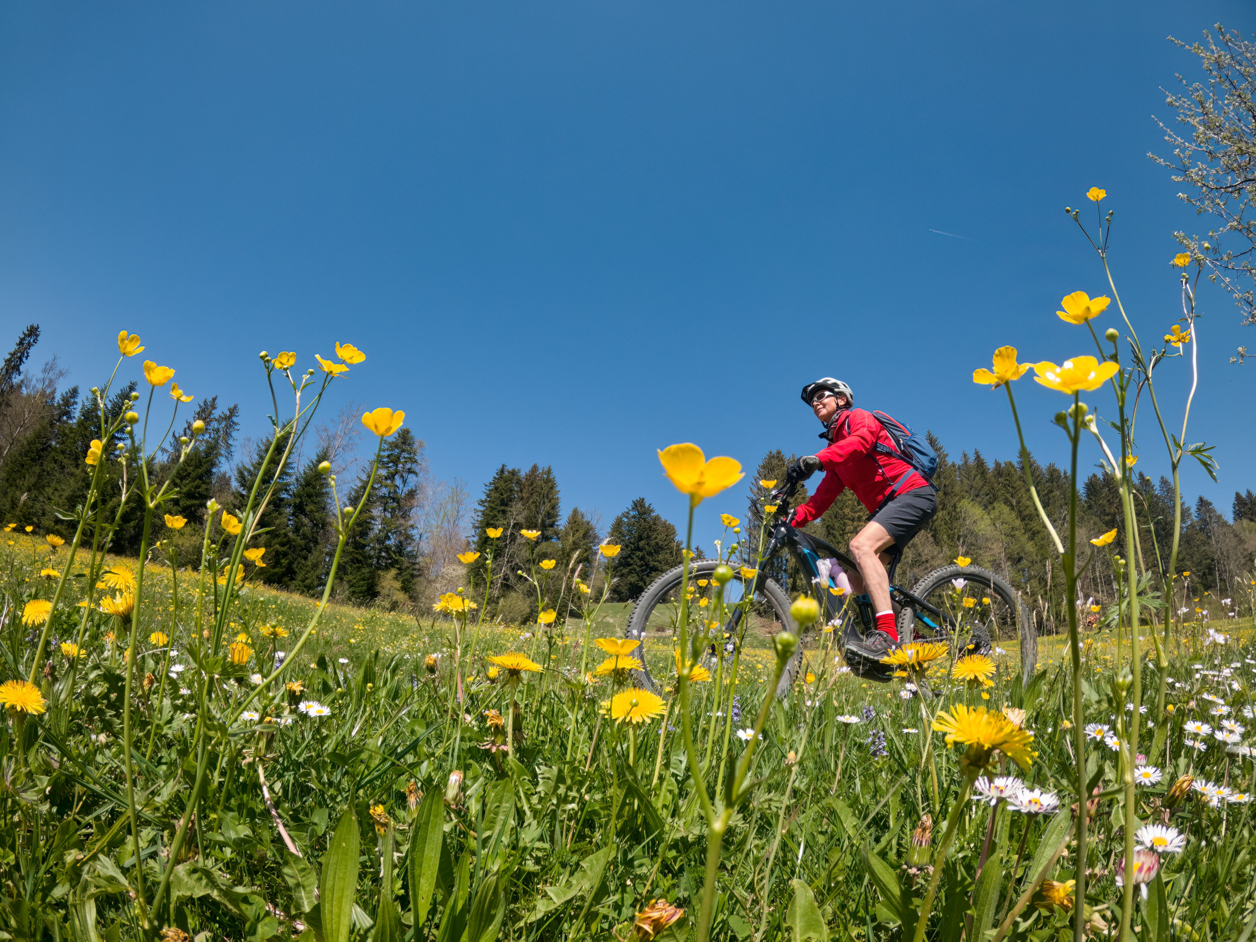 Biergartenhopping by Bike