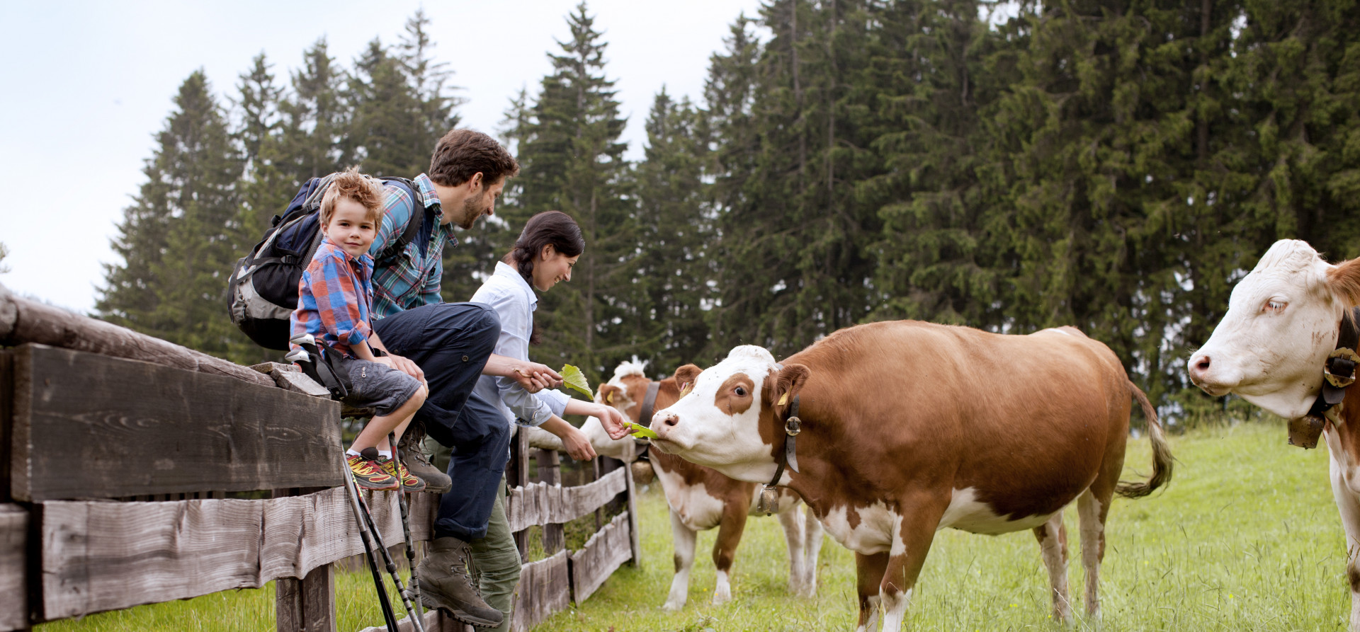 Familie beim Wandern