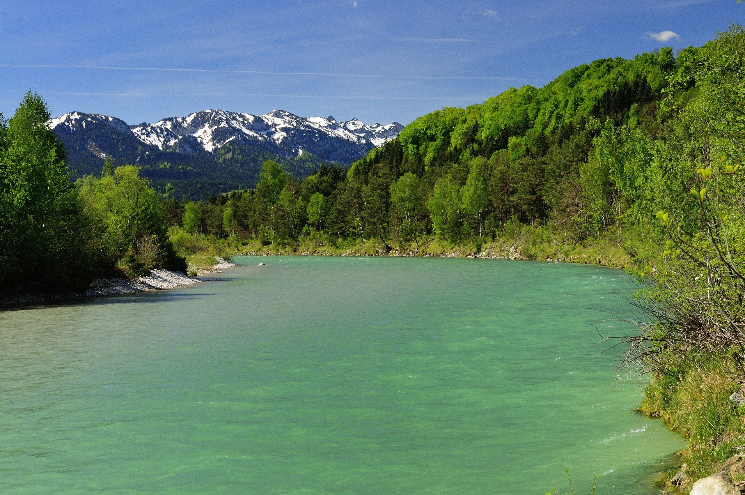 Wildfluss  Isar