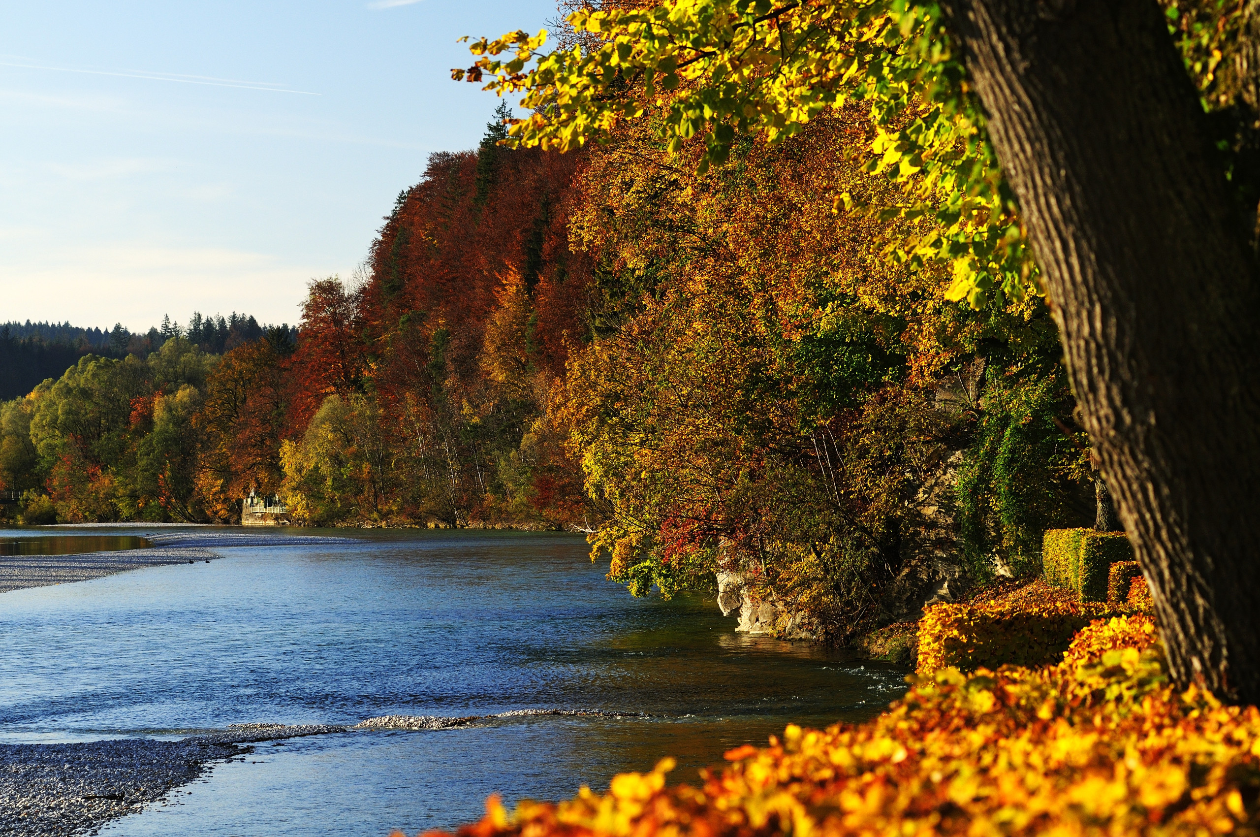 Isar Herbst