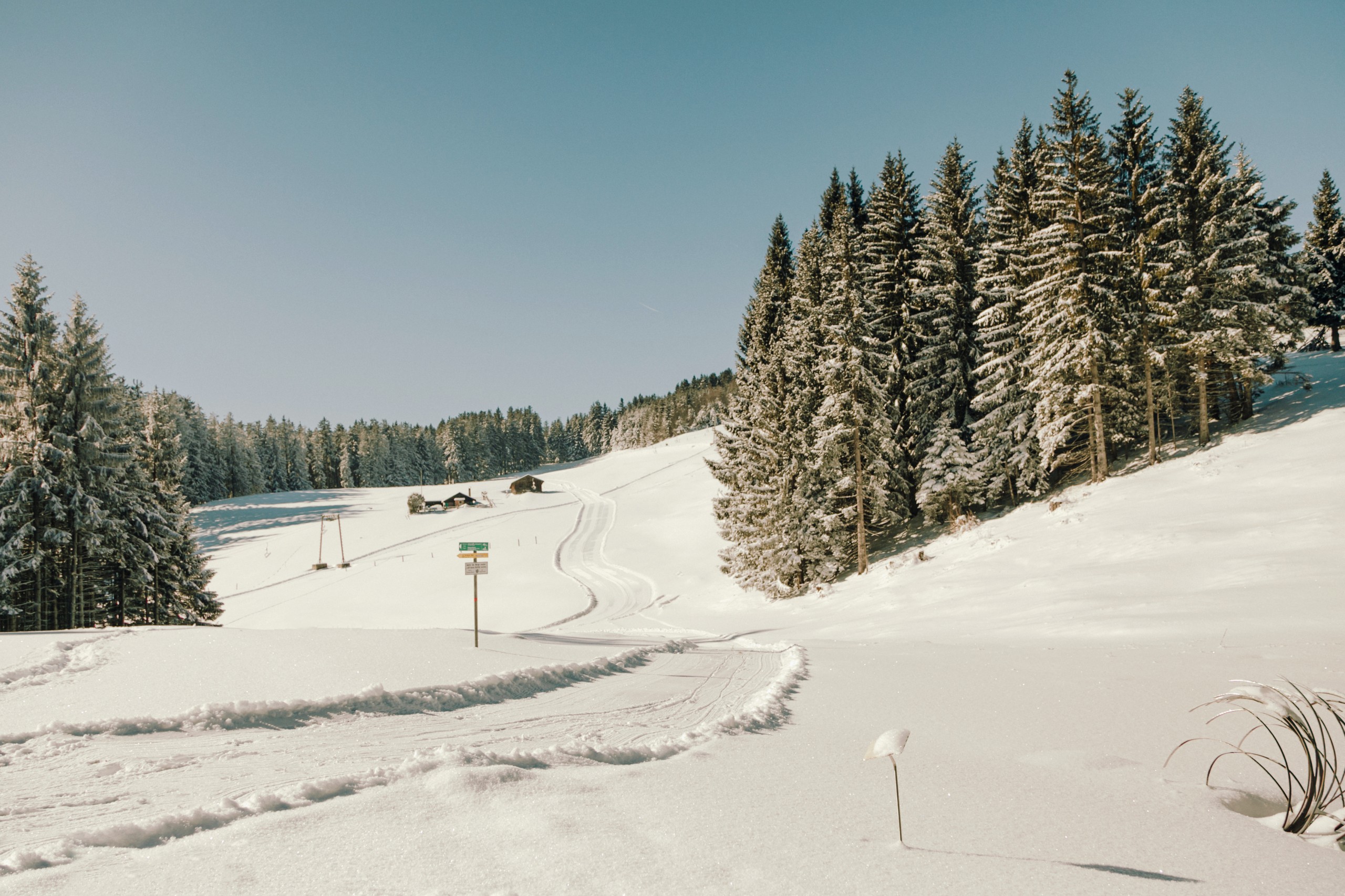 Winterparadies Winterparadies