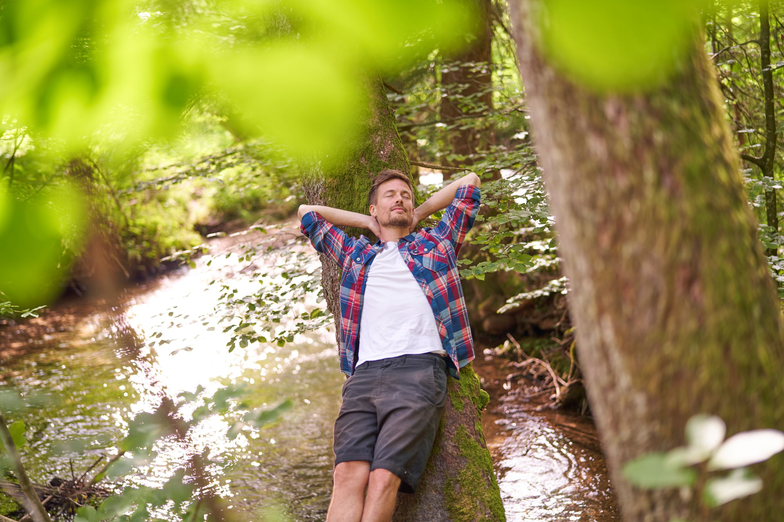 Heilklimawandern