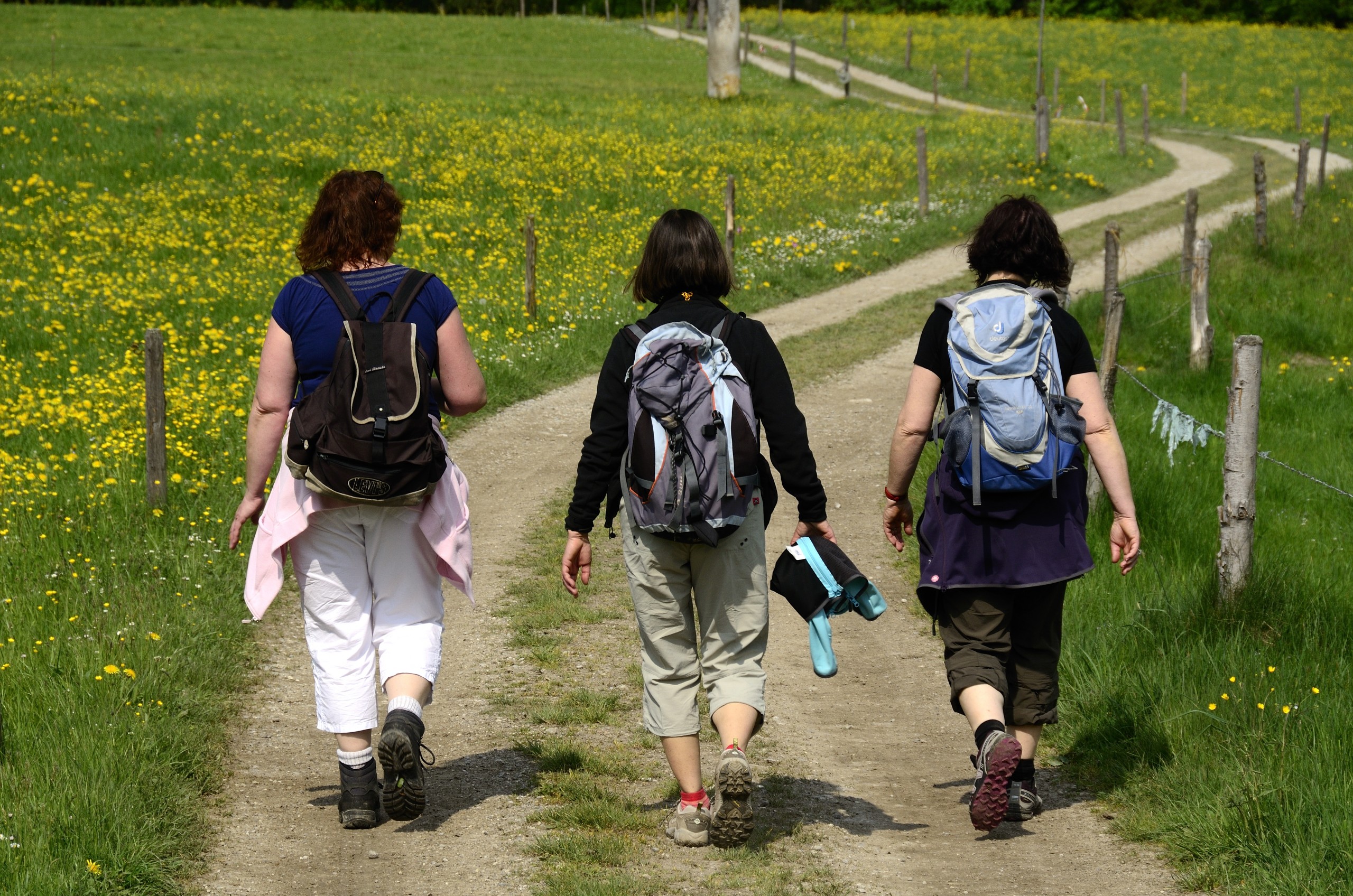 Geführte Wanderung Geführte Wanderung in Bad Tölz