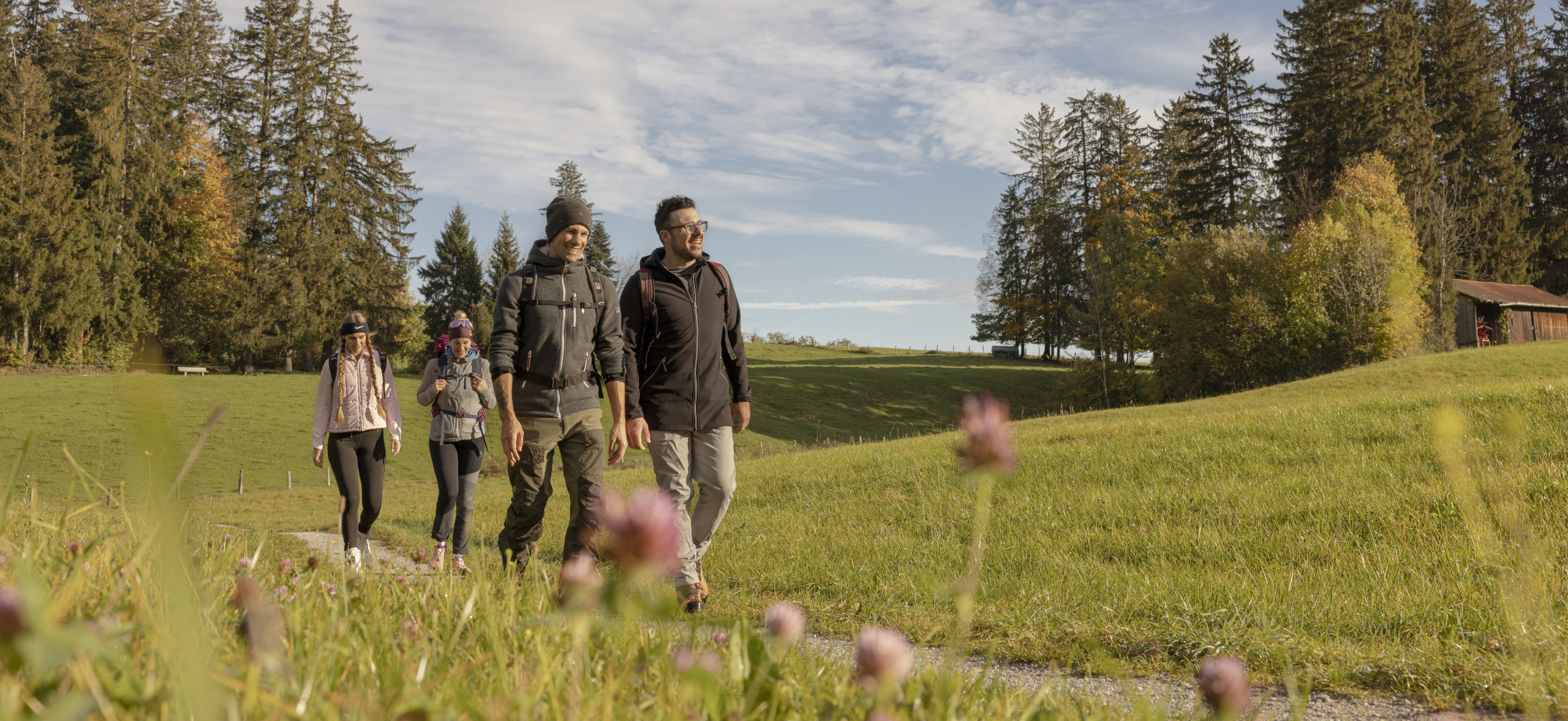 Spaziergang im grünen