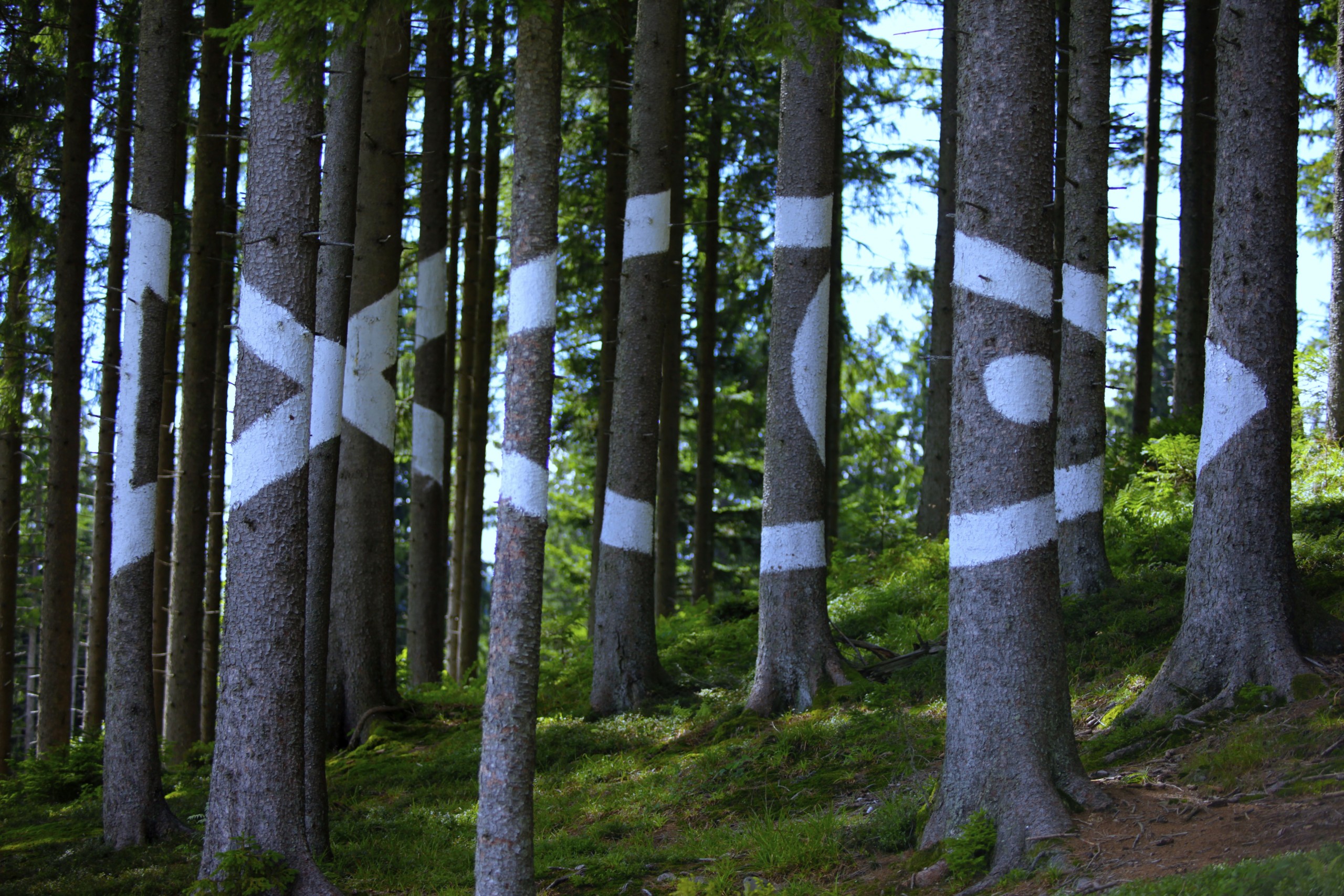 Kunstwanderweg Kunstwanderweg Blomberg