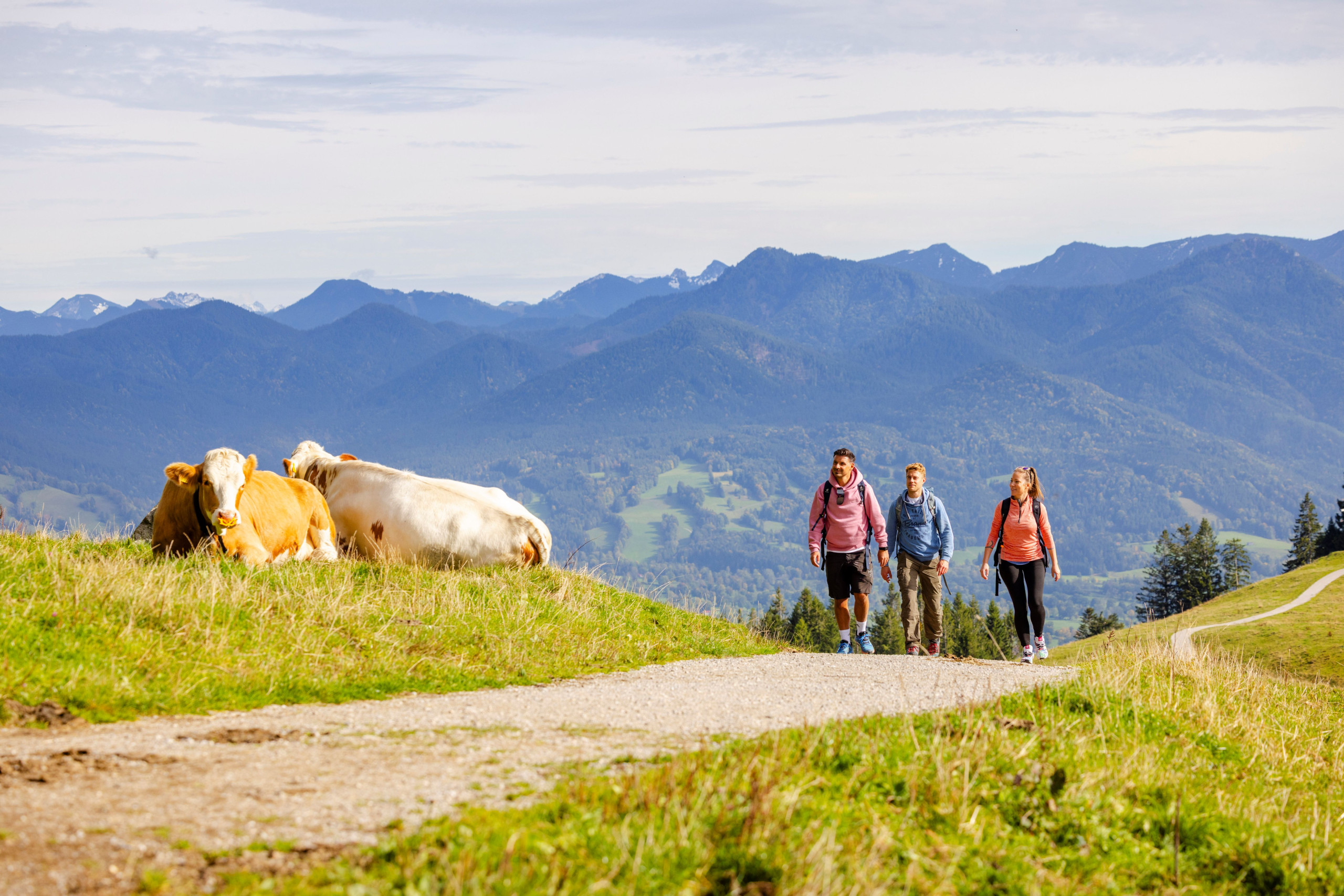 Wandern, Heilklima Wandern auf dem Blomberg